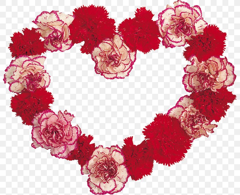 Carnation Cut Flowers Floral Design Garden Roses, PNG, 800x665px, Carnation, Cut Flowers, Fashion Accessory, Floral Design, Flower Download Free