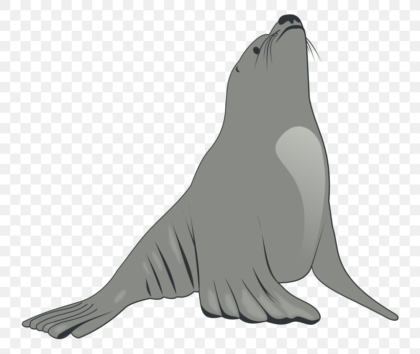 Earless Seal Sea Lion Walrus Clip Art, PNG, 800x691px, Earless Seal, Art, Beak, Bird, Black And White Download Free
