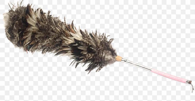 Feather Duster Adhesive Tape Metal Carpet, PNG, 3155x1633px, Feather, Adhesive Tape, Brush, Carpet, Chairish Download Free