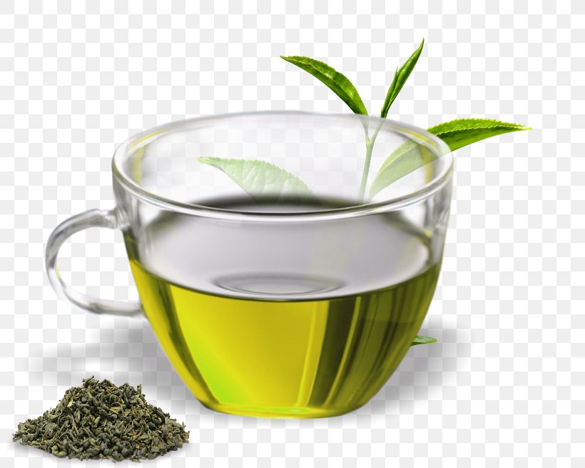 Green Tea Assam Tea Oolong Herbal Tea, PNG, 805x655px, Green Tea, Assam Tea, Black Tea, Chinese Herb Tea, Coffee Cup Download Free