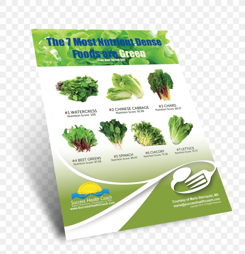 Leaf Vegetable Herb Brand, PNG, 1925x2000px, Leaf Vegetable, Advertising, Brand, Grass, Herb Download Free