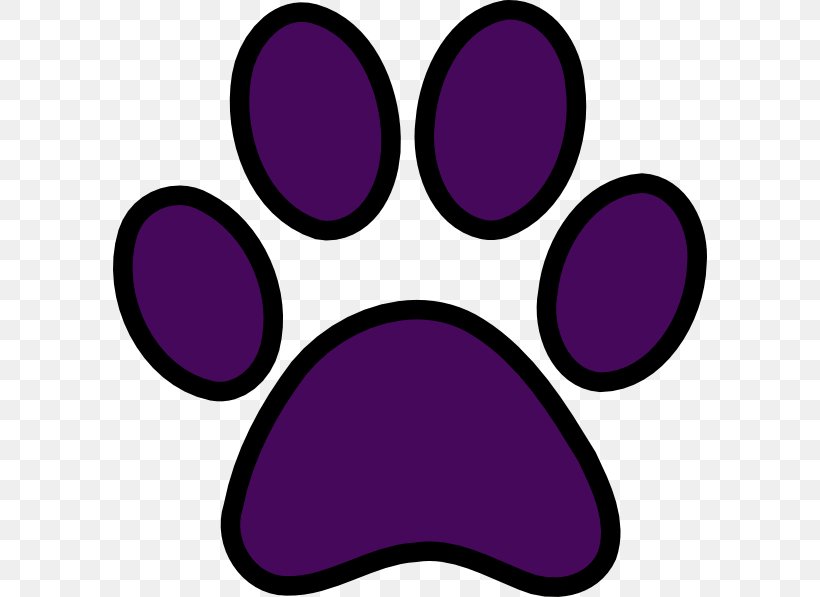 Siberian Husky Cat Tiger Puppy Paw, PNG, 594x597px, Siberian Husky, Animal Track, Cat, Coyote, Dog Download Free