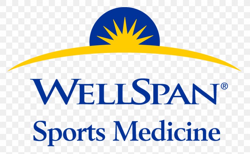 WellSpan Health Pennsylvania Health Care Health System, PNG, 913x564px, Wellspan Health, Area, Artwork, Brand, Community Health Download Free