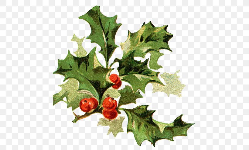 A Christmas Carol Ebenezer Scrooge Santa Claus Christmas Day Poster, PNG, 511x497px, Christmas Carol, Aquifoliaceae, Aquifoliales, Branch, Christmas Card Download Free