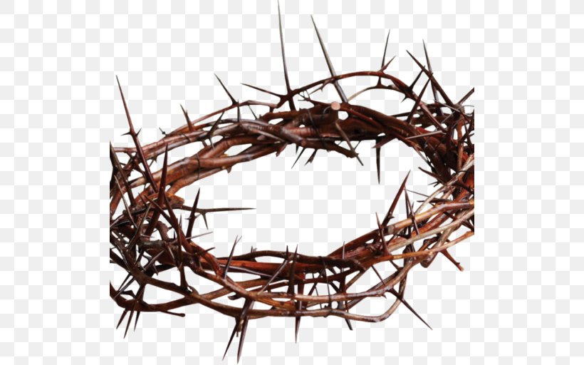 Crown Of Thorns Christianity Thorns, Spines, And Prickles Messiah Mocking Of Jesus, PNG, 512x512px, Crown Of Thorns, Bird Nest, Branch, Christian Cross, Christianity Download Free