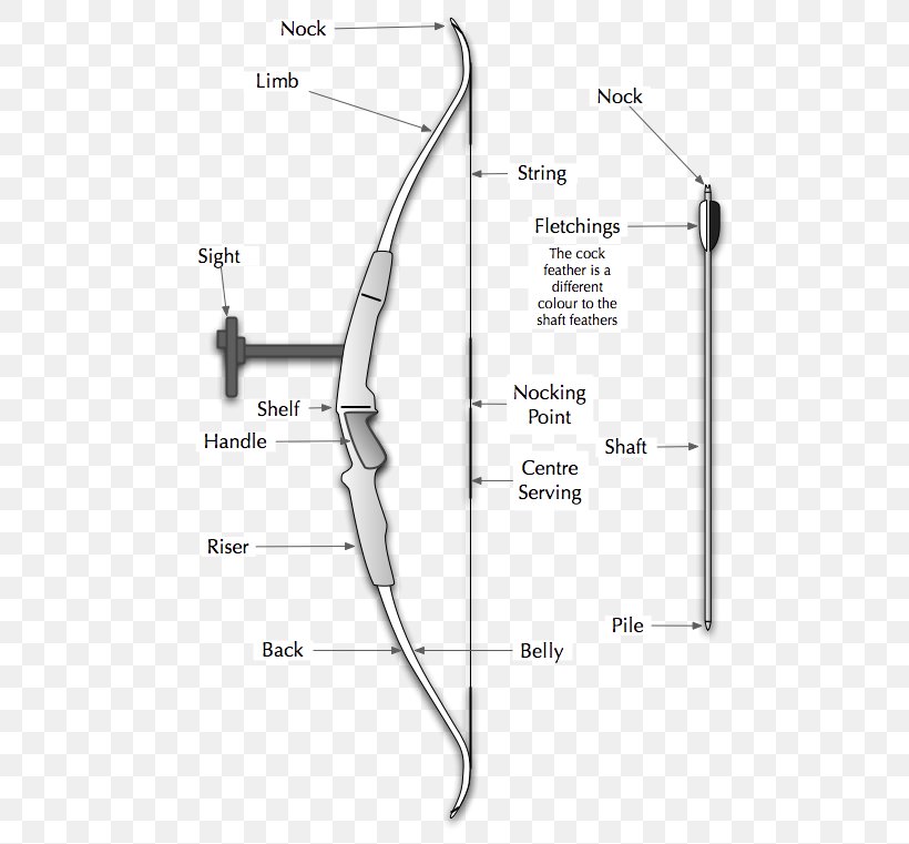 Diagram Point, PNG, 518x761px, Diagram, Area, Black And White, Bow, Bow And Arrow Download Free
