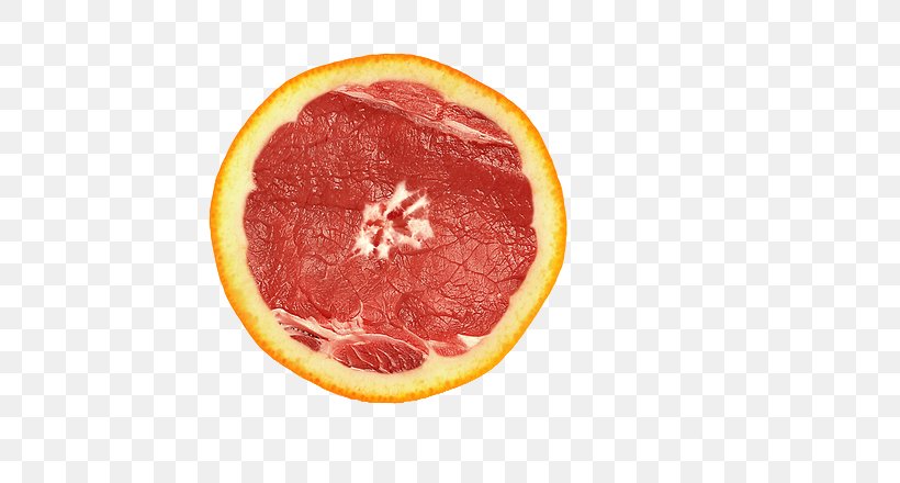 Euclidean Vector Photography Icon, PNG, 613x440px, Photography, Decal, Food, Fruit, Grapefruit Download Free