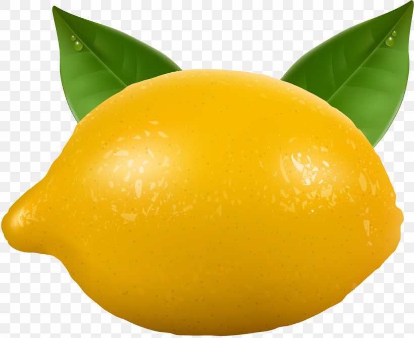 Meyer Lemon Yellow Orange, PNG, 1501x1225px, Lemon, Citric Acid, Citron, Citrus, Citrus Junos Download Free