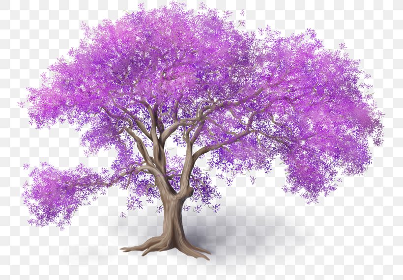 Branching, PNG, 750x570px, Branching, Blossom, Branch, Flower, Lilac Download Free