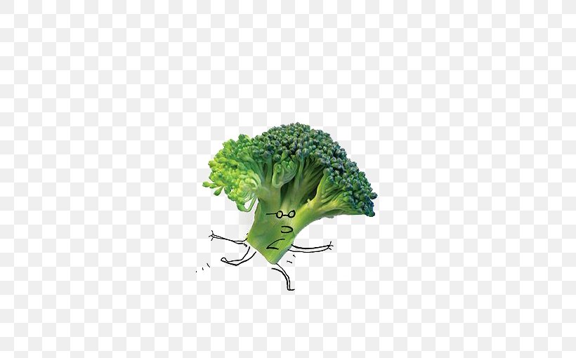 Food Salad Vegetable Broccoli, PNG, 510x510px, Food, Broccoli, Cartoon, Designer, Drawing Download Free