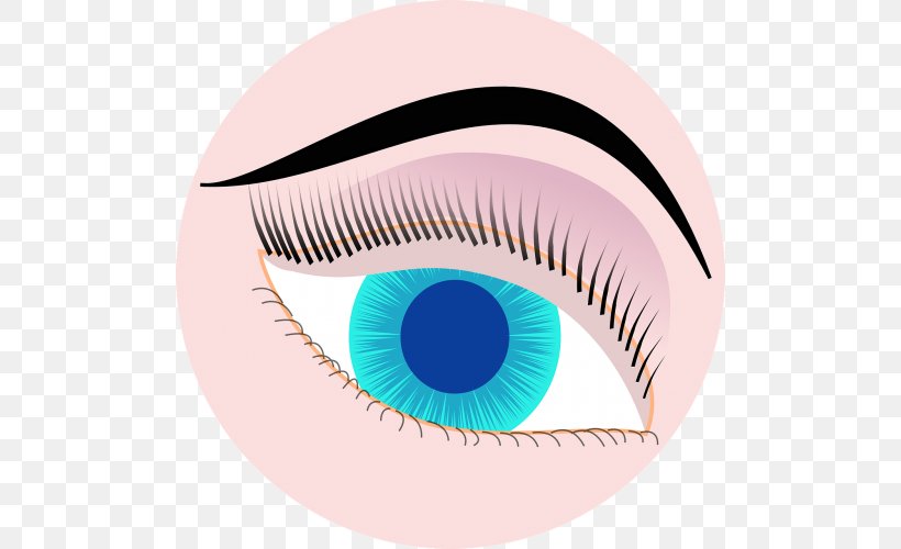 Iris Eye Visualization Clip Art, PNG, 500x500px, Watercolor, Cartoon, Flower, Frame, Heart Download Free
