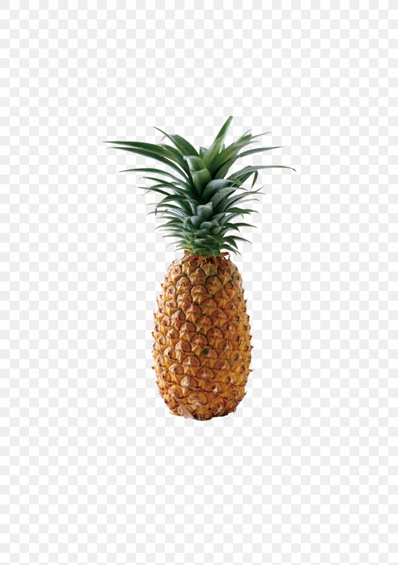 Juice Pineapple Clip Art, PNG, 900x1279px, Juice, Ananas, Bromeliaceae, Display Resolution, Flowerpot Download Free