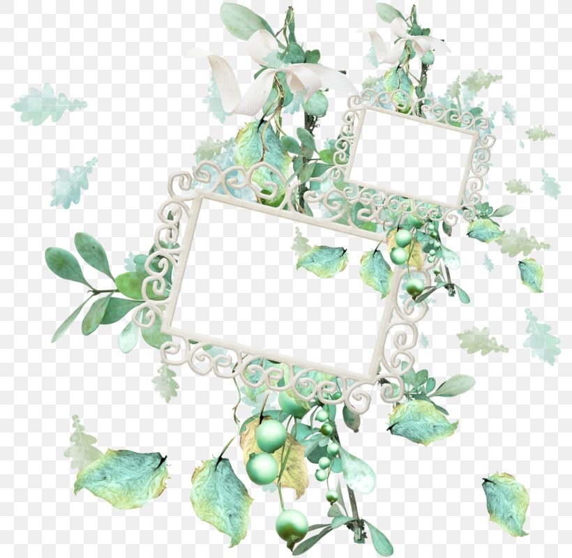Picture Frames Clip Art, PNG, 800x800px, Picture Frames, Data, Data Compression, Leaf, Picture Frame Download Free