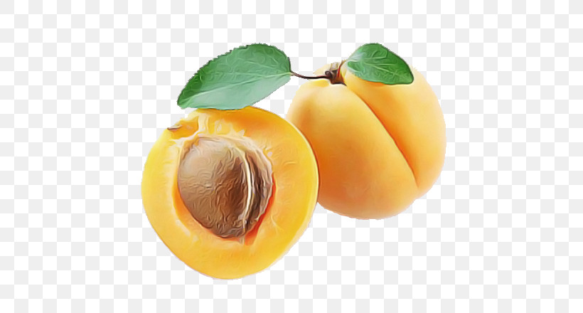 Apricot Armenian Plum Calorie Fruit Fruit, PNG, 620x440px, Apricot, Armenian Plum, Calorie, Carbohydrate, Cherry Download Free