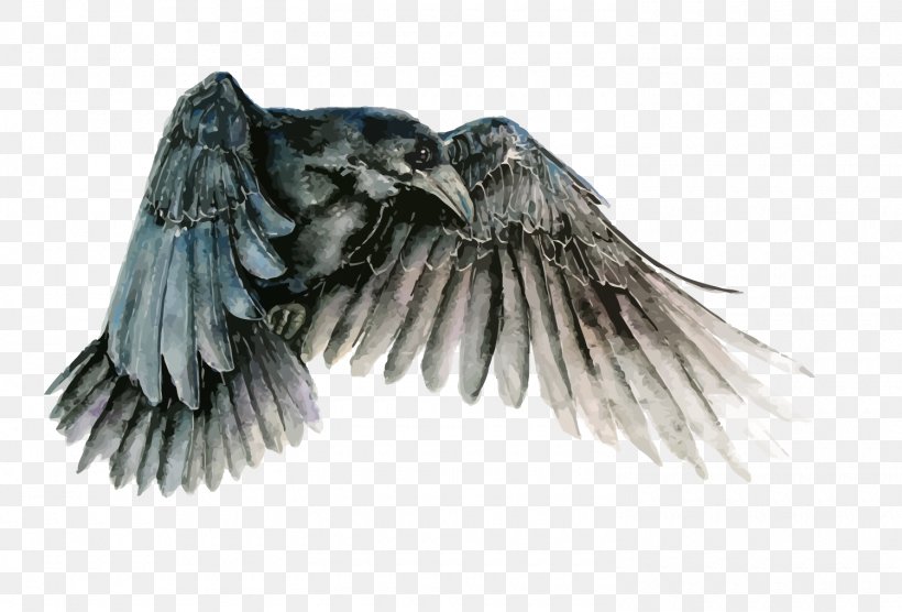 Bird Watercolor Painting Common Raven Drawing, PNG, 1500x1018px, Bird, Art, Beak, Bird Of Prey, Common Raven Download Free