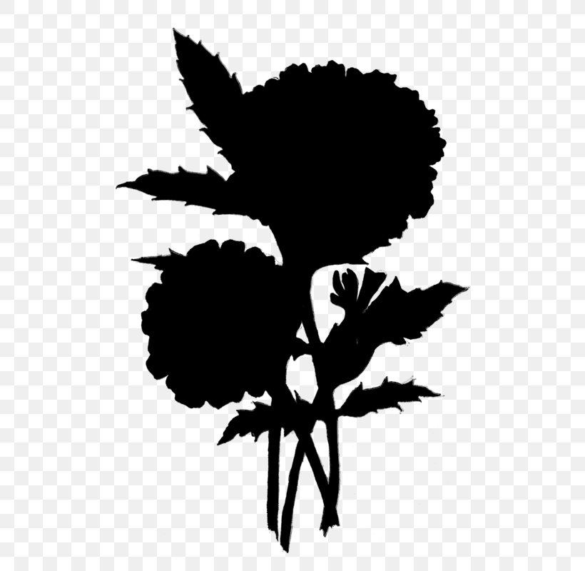 Clip Art Flower Plant Stem Leaf Silhouette, PNG, 530x800px, Flower, Blackandwhite, Botany, Flowering Plant, Leaf Download Free