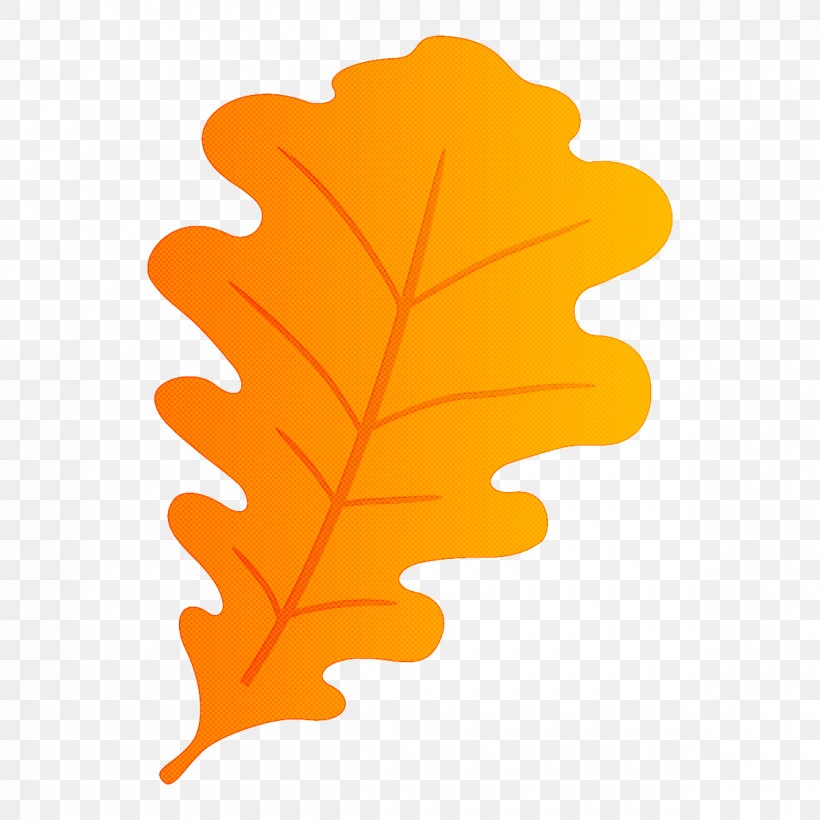 Oak Leaf Autumn Leaf Fall Leaf, PNG, 1200x1200px, Oak Leaf, Autumn Leaf, Fall Leaf, Leaf, Maple Leaf Download Free