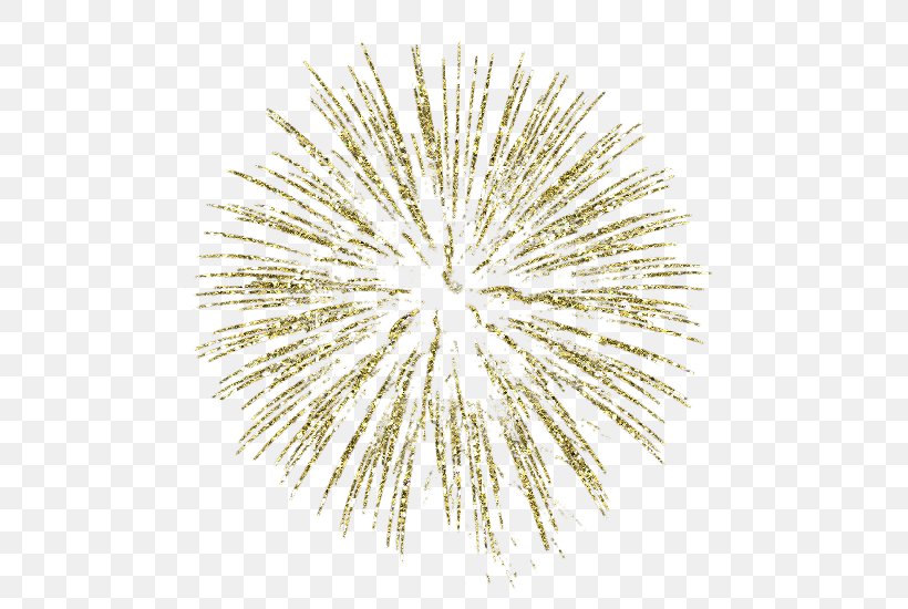 Fireworks Gold Clip Art, PNG, 550x550px, Fireworks, Drawing, Gold, Jewellery, New Year Download Free