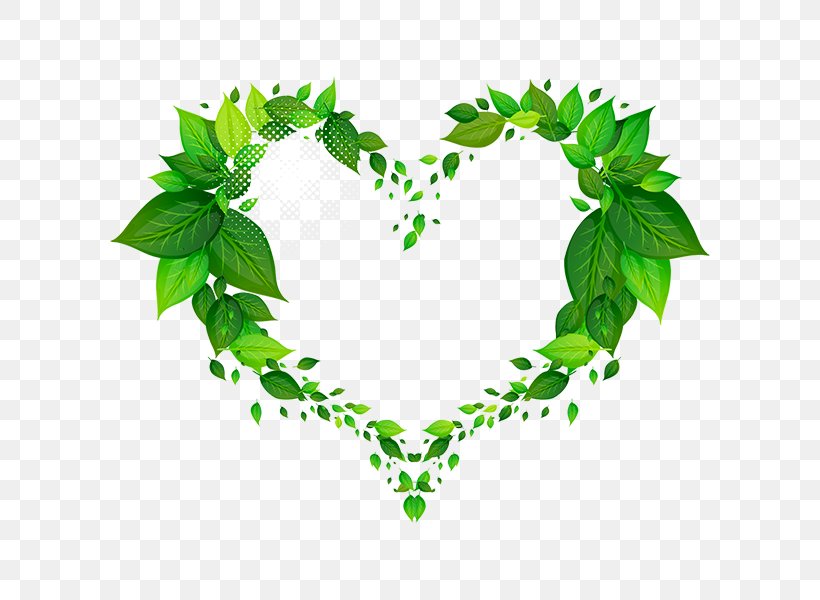 Vector Graphics Clip Art Image, PNG, 600x600px, Borders And Frames, Flower, Green, Heart, Ivy Download Free