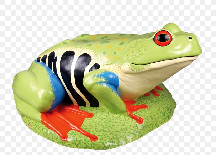 American Bullfrog Toad True Frog Clip Art, PNG, 800x591px, American Bullfrog, Amphibian, Bullfrog, Frog, Gimp Download Free