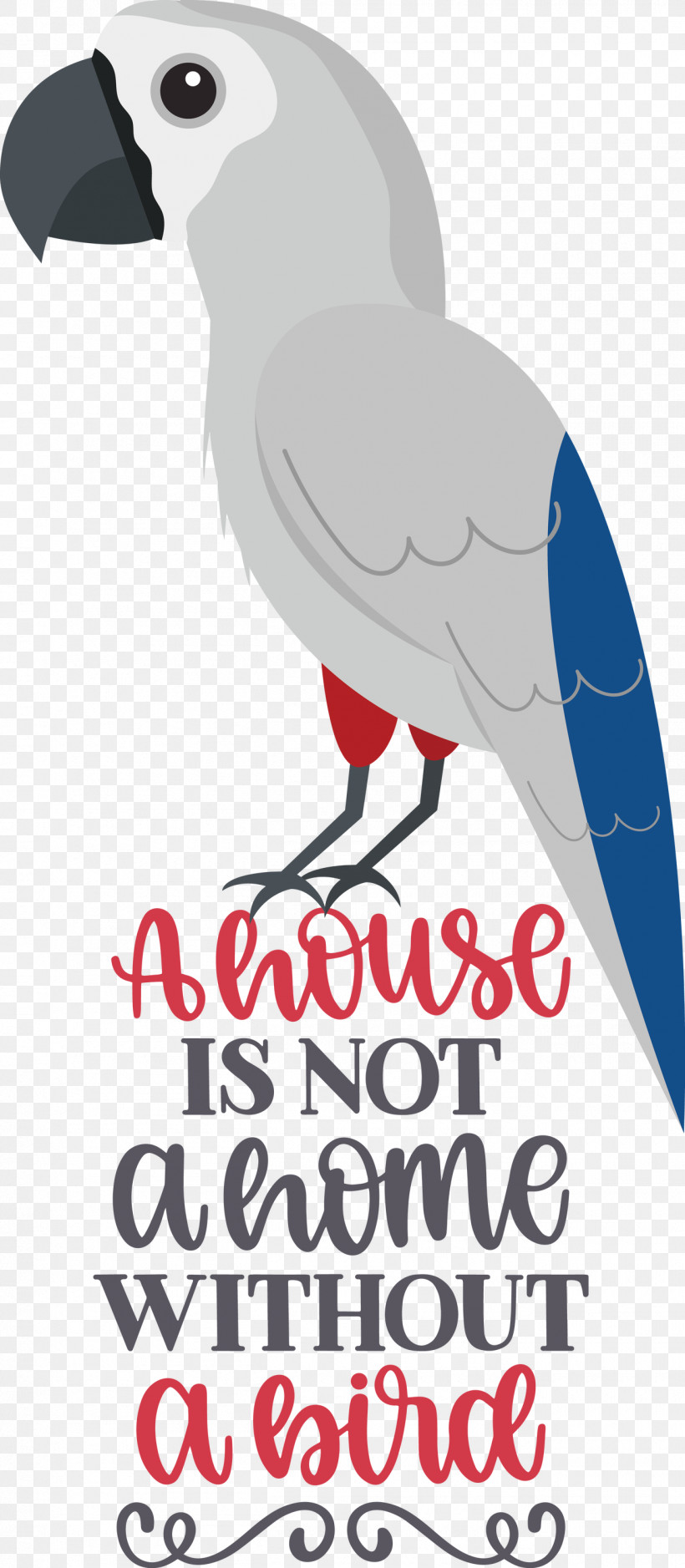 Bird Quote Bird Home, PNG, 1310x2999px, Bird, Beak, Biology, Birds, Home Download Free