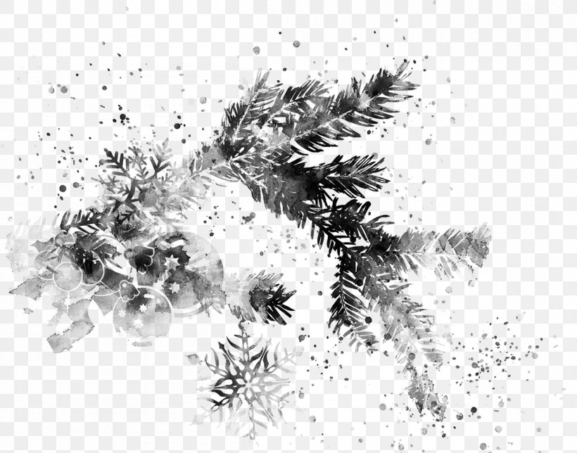 Drawing Photography /m/02csf Monochrome, PNG, 1200x943px, Drawing, Artwork, Black And White, Branch, Membrane Winged Insect Download Free