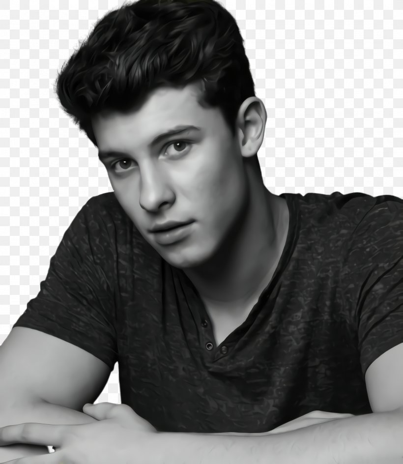 Hair Cartoon, PNG, 1864x2148px, Shawn Mendes, Actor, Black, Black Hair, Blackandwhite Download Free