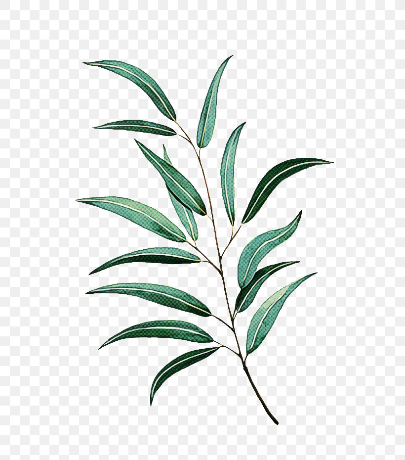 Twice Leaf Drop Shipping, PNG, 658x930px, Twice, Discounts And Allowances, Drop Shipping, Got7, Grasses Download Free