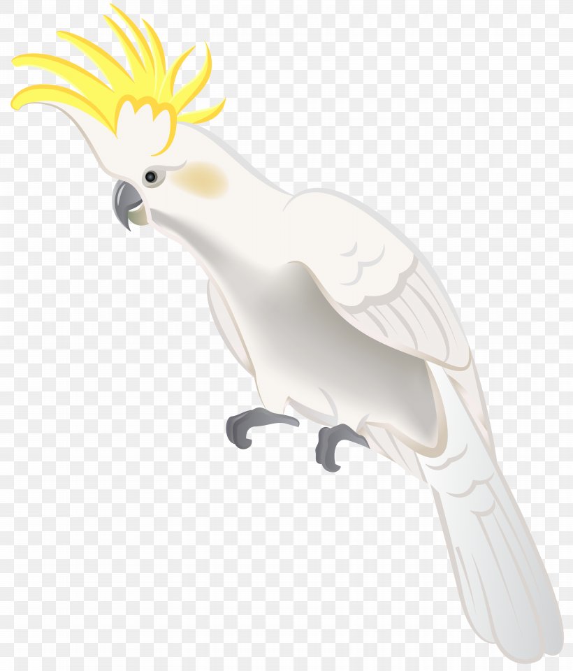 Bird Parakeet Animal Wallpaper, PNG, 6833x8000px, Bird, Animal, Art, Beak, Bird Of Prey Download Free