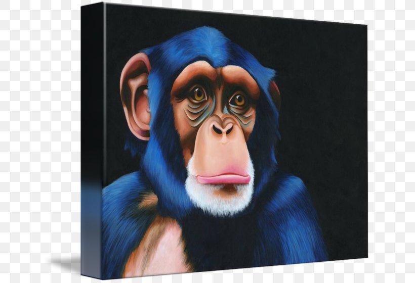 Common Chimpanzee Gorilla Gallery Wrap Monkey Portrait, PNG, 650x560px, Common Chimpanzee, Art, Canvas, Chimpanzee, Gallery Wrap Download Free