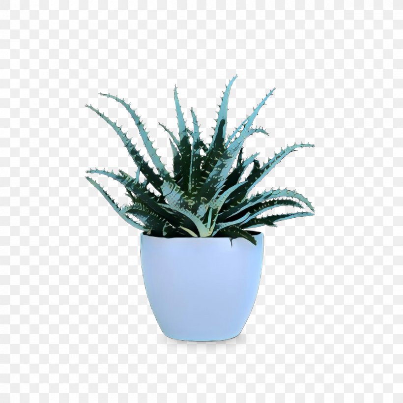 Flowerpot Holmegaard-Design With Light Pot Crock Plants Houseplant, PNG, 1200x1200px, Flowerpot, Agave, Aloe, Blue, Bonsai Download Free