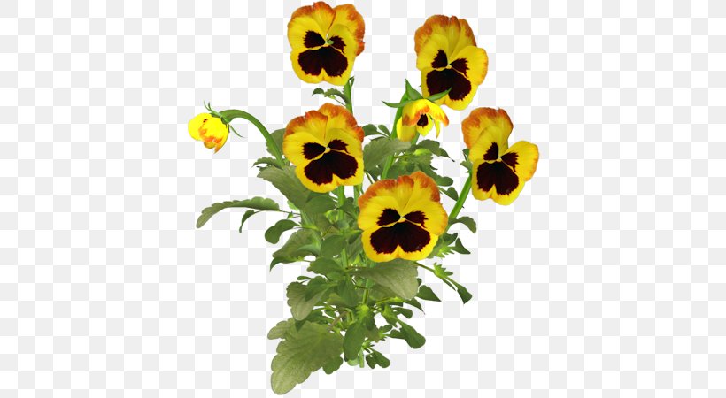 Pansy Clip Art, PNG, 400x450px, Pansy, Animated Film, Annual Plant, Cut Flowers, Daisy Family Download Free