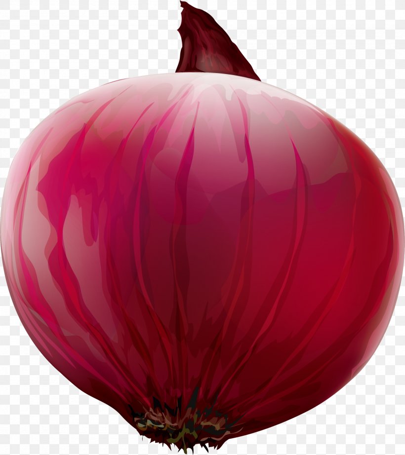 Red Onion Red Onion Gratis, PNG, 2000x2249px, Onion, Flowering Plant, Food, Gratis, Gules Download Free