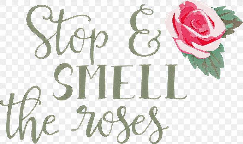 Rose Stop And Smell The Roses, PNG, 3000x1779px, Rose, Cut Flowers, Floral Design, Flower, Garden Download Free