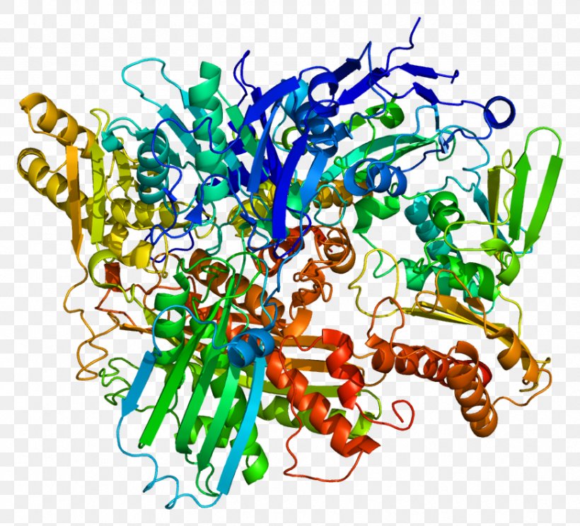 Xanthine Dehydrogenase Xanthine Oxidase Protein, PNG, 872x792px, Xanthine Dehydrogenase, Adenine Phosphoribosyltransferase, Area, Art, Artwork Download Free