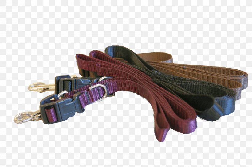 Belt Strap Leash, PNG, 900x600px, Belt, Fashion Accessory, Leash, Purple, Strap Download Free
