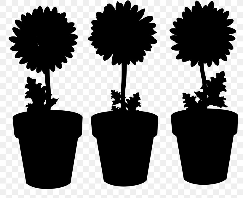 Black & White, PNG, 800x669px, Black White M, Arecales, Blackandwhite, Flower, Flowering Plant Download Free