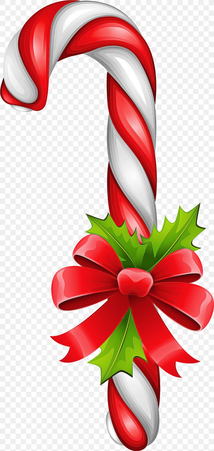 Candy Cane, PNG, 1171x2466px, Christmas, Candy Cane, Christmas Ornament, Event, Holiday Ornament Download Free
