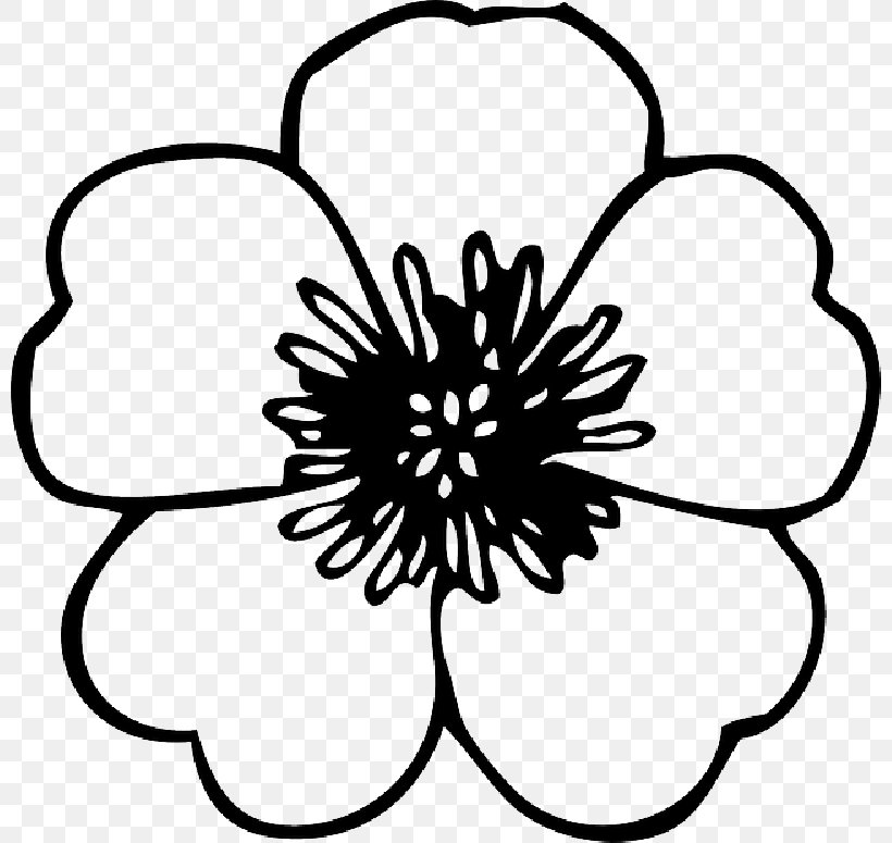 Clip Art Openclipart Flower Free Content Image, PNG, 800x775px, Flower, Blackandwhite, Coloring Book, Document, Flower Bouquet Download Free