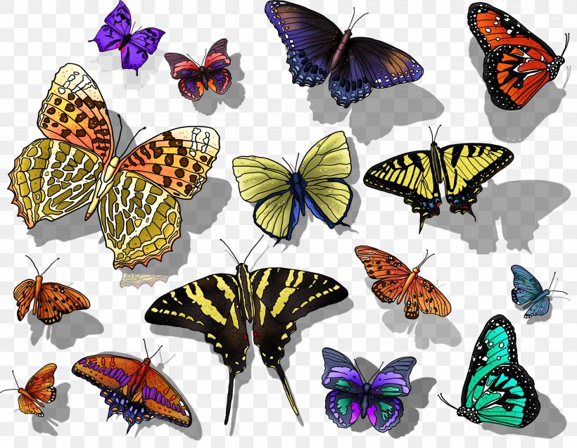Butterfly Photography Clip Art, PNG, 3375x2625px, Butterfly, Arthropod, Brush Footed Butterfly, Butterflies And Moths, Digital Image Download Free