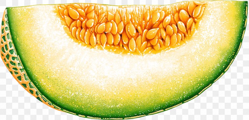 Honeydew Cantaloupe Melon Fruit Clip Art, PNG, 2386x1158px, Honeydew, Cantaloupe, Coloring Book, Commodity, Cucumber Gourd And Melon Family Download Free