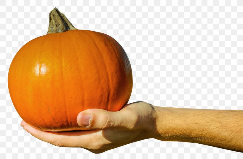 Jack-o-lantern Pumpkin, PNG, 1698x1118px, Calabaza, Carving, Cucumber, Cucumber Gourd And Melon Family, Cucurbita Download Free