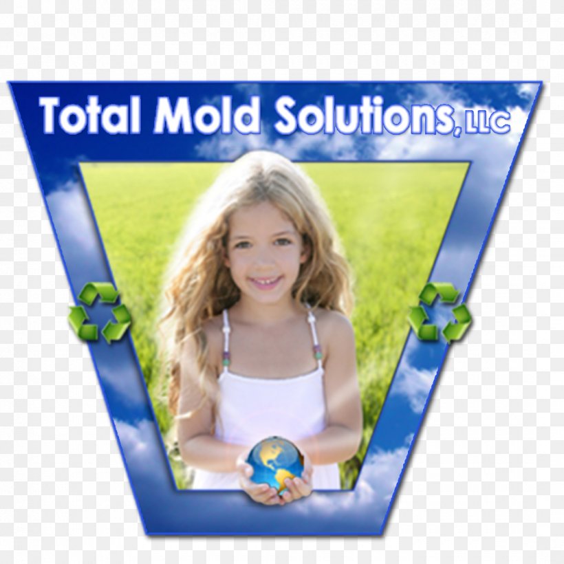 Total Mold Solutions, LLC. Indoor Mold Indoor Air Quality Sinus Infection, PNG, 1080x1080px, Indoor Mold, Advertising, Asthma, Blue, Bronchitis Download Free