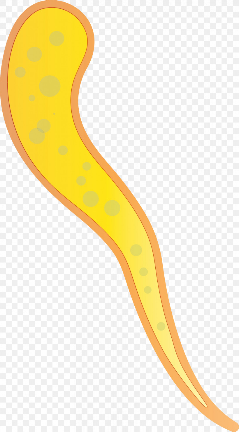 Yellow Flatworm, PNG, 1661x3000px, Virus, Flatworm, Paint, Watercolor, Wet Ink Download Free