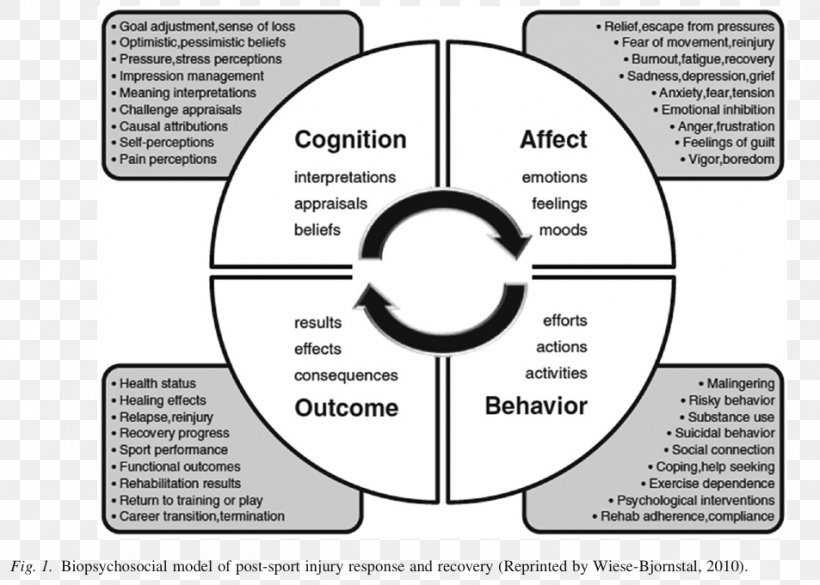 Biopsychosocial Model Sports Injury Sport Psychology, PNG, 953x681px, Biopsychosocial Model, Area, Athlete, Communication, Diagram Download Free