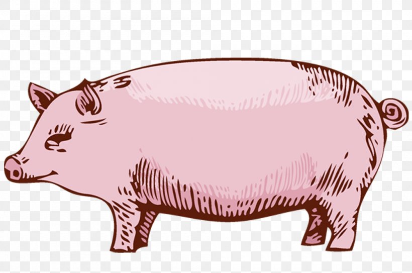 Domestic Pig Fette Sau, PNG, 1000x663px, Domestic Pig, Animal Figure, Barbecue, Barbecue Restaurant, Bear Download Free
