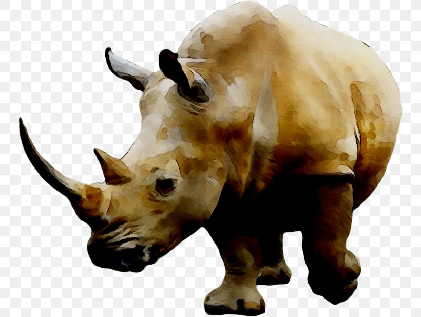 Rhinoceros Clip Art Rhino! Rhino! Image, PNG, 750x617px, Rhinoceros, Animal, Animal Figure, Black Rhinoceros, Drawing Download Free