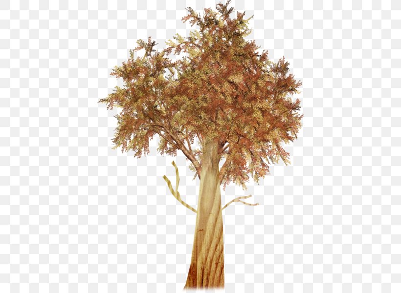Twig Plant Stem, PNG, 422x600px, Twig, Branch, Plant, Plant Stem, Tree Download Free