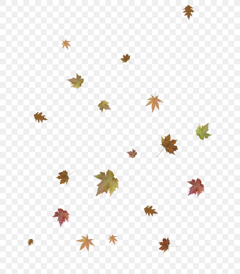 Autumn Branch, PNG, 700x937px, 2018, Leaf, Abscission, Autumn, Autumn Leaf Color Download Free