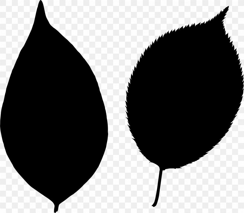 Black & White, PNG, 2929x2555px, Black White M, Black M, Blackandwhite, Leaf, Plant Download Free